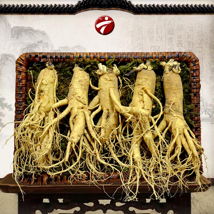 Đông Y Gia Truyền Bà Vân